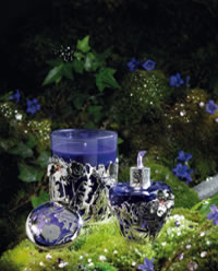 Lolita Lempicka Midnight Flower